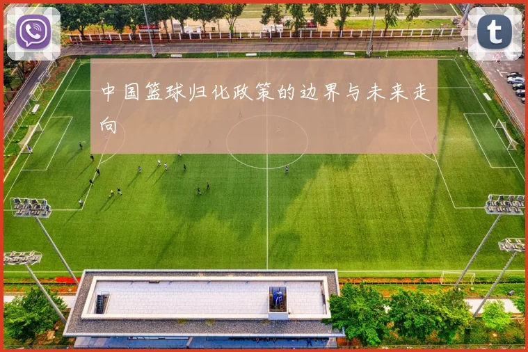 中国篮球归化政策的边界与未来走向