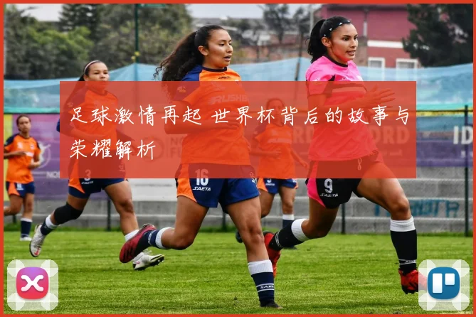 足球激情再起 世界杯背后的故事与荣耀解析