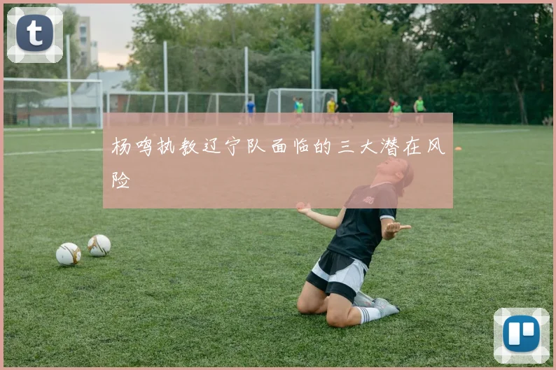 杨鸣执教辽宁队面临的三大潜在风险